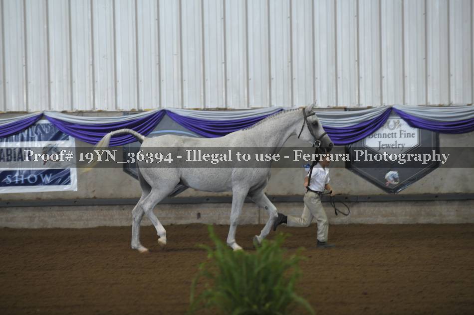 Proof 19YN_36394