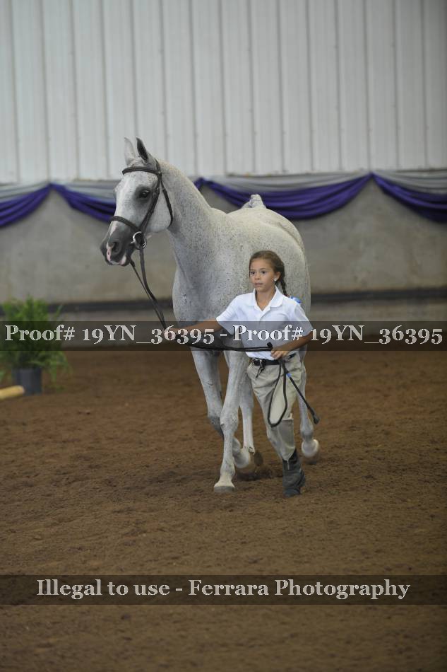Proof 19YN_36395
