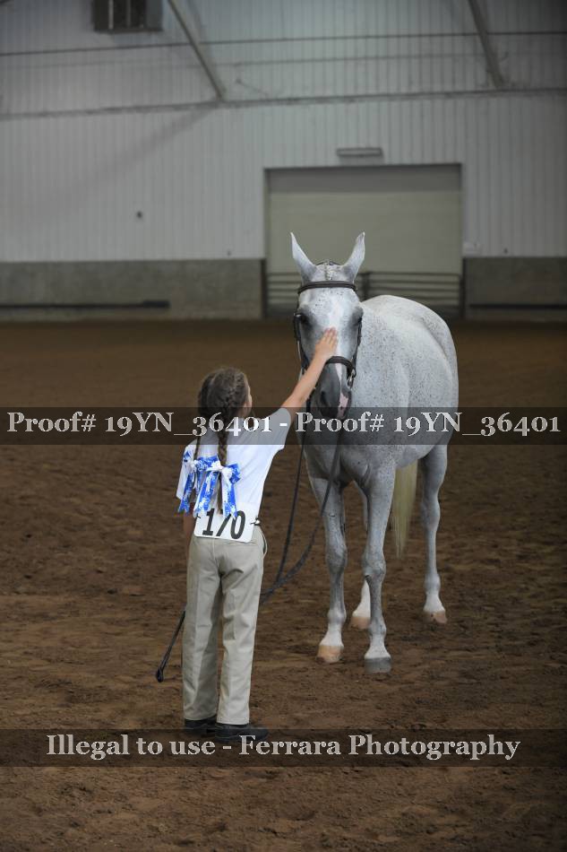 Proof 19YN_36401