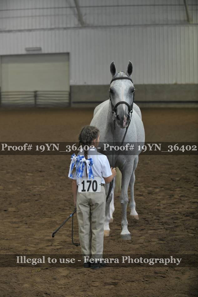 Proof 19YN_36402