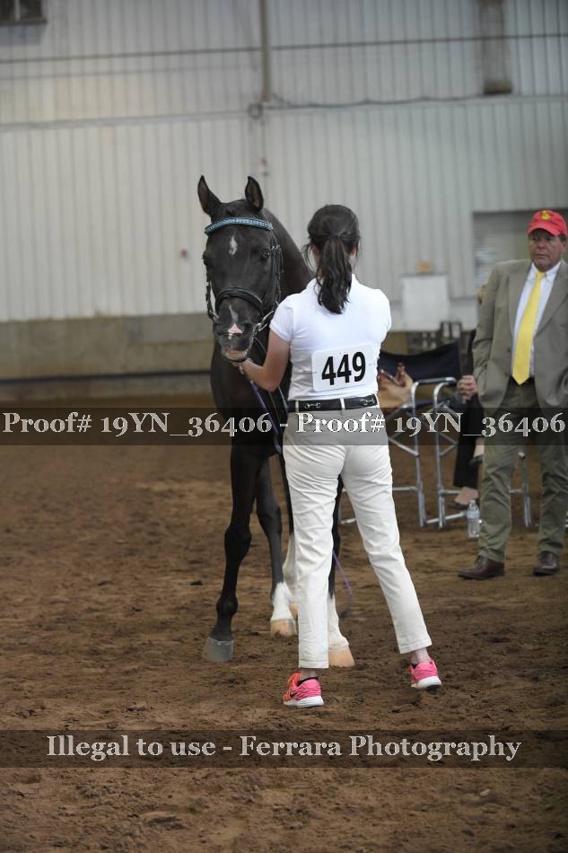 Proof 19YN_36406