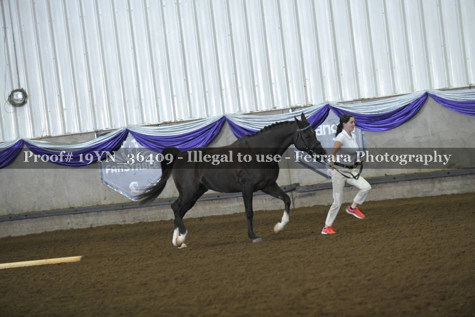 Proof 19YN_36409