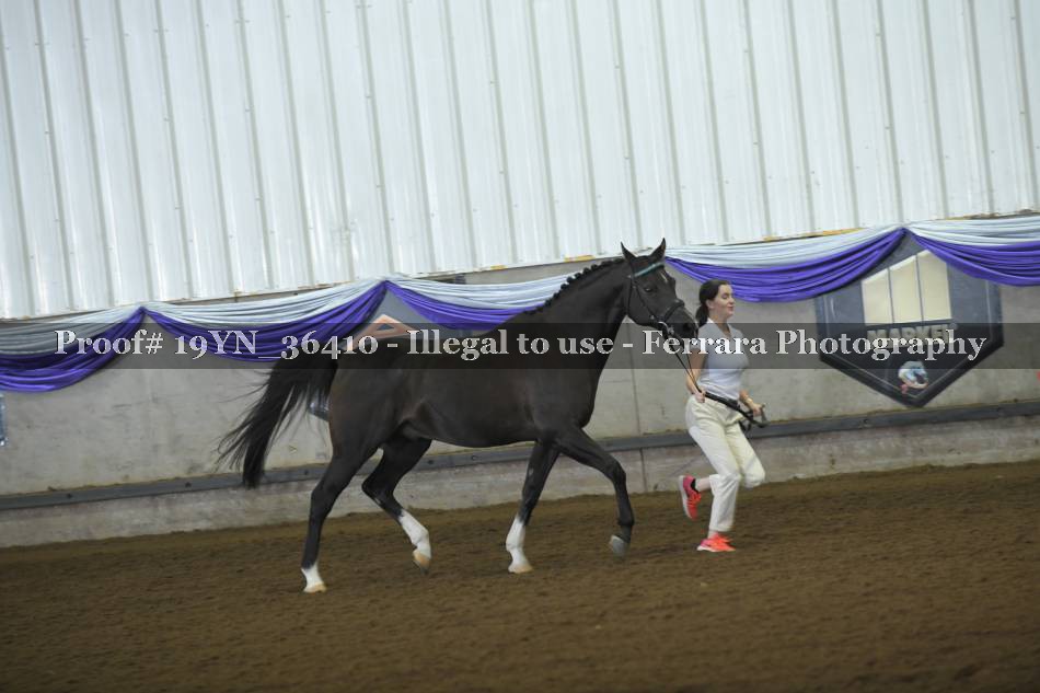 Proof 19YN_36410