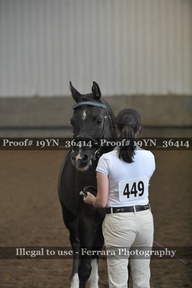 Proof 19YN_36414