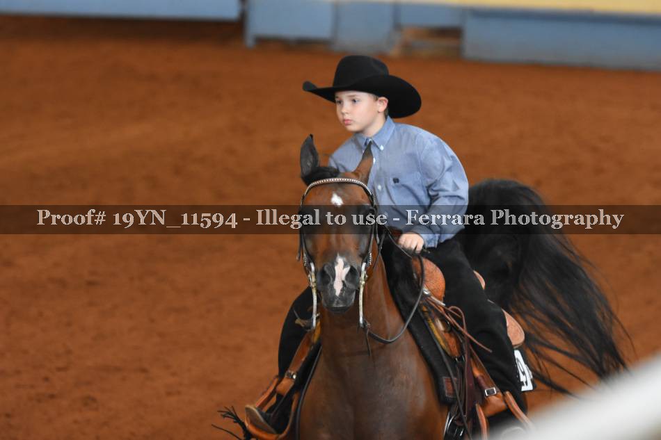 Proof 19YN_11594