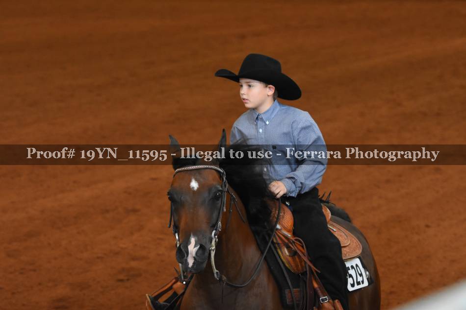 Proof 19YN_11595