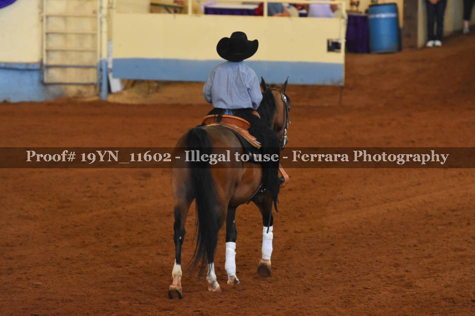 Proof 19YN_11602