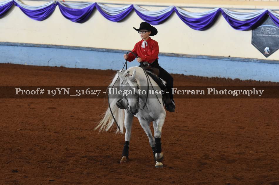 Proof 19YN_31627