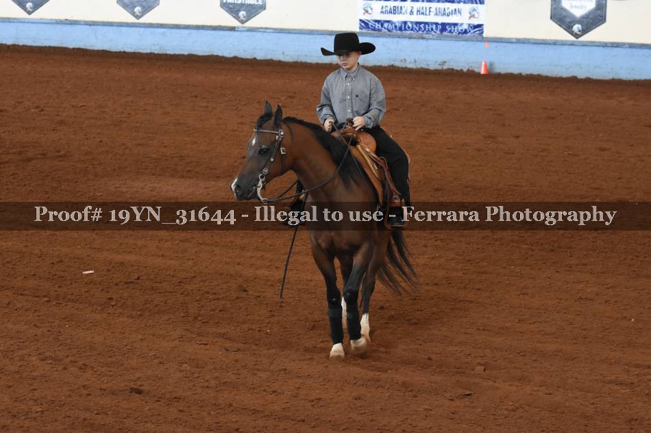 Proof 19YN_31644