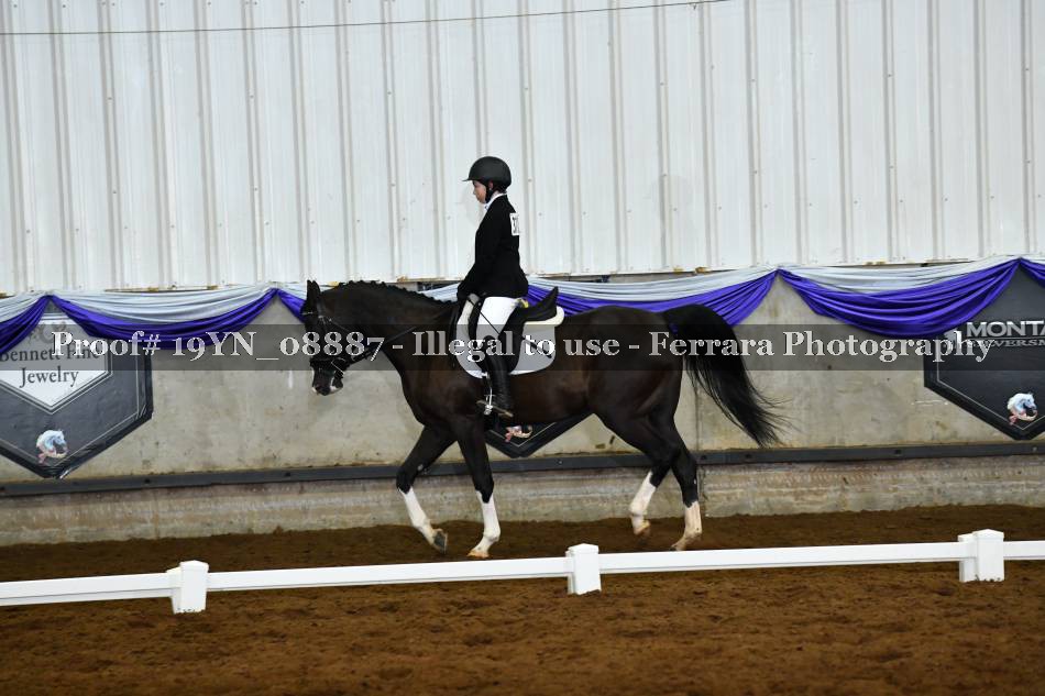 Proof 19YN_08887