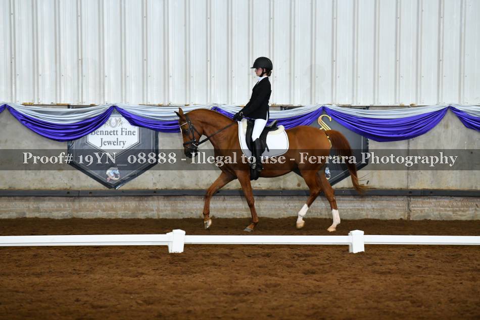 Proof 19YN_08888
