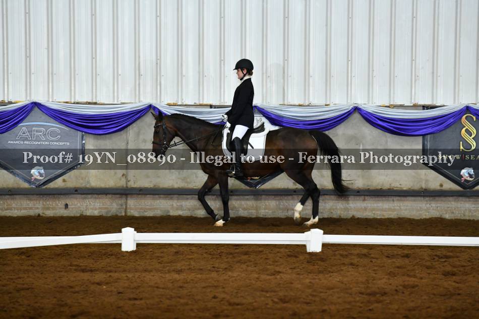 Proof 19YN_08890