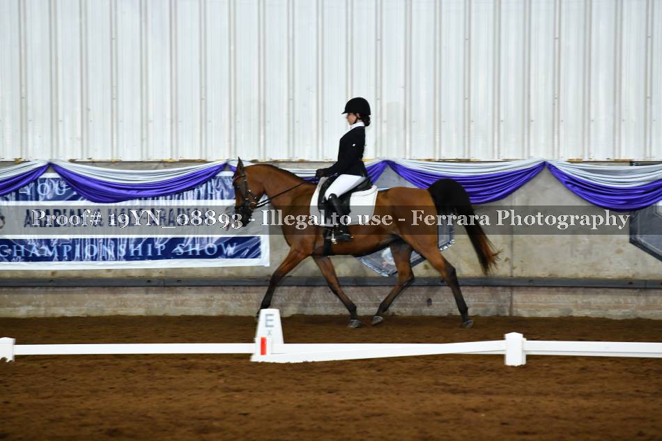 Proof 19YN_08893