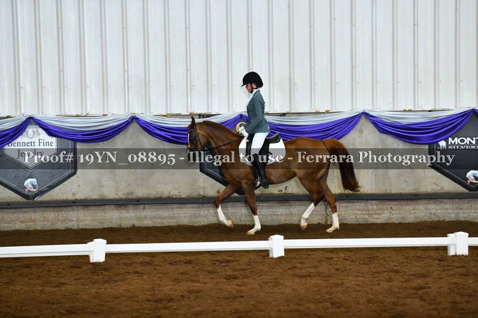 Proof 19YN_08895