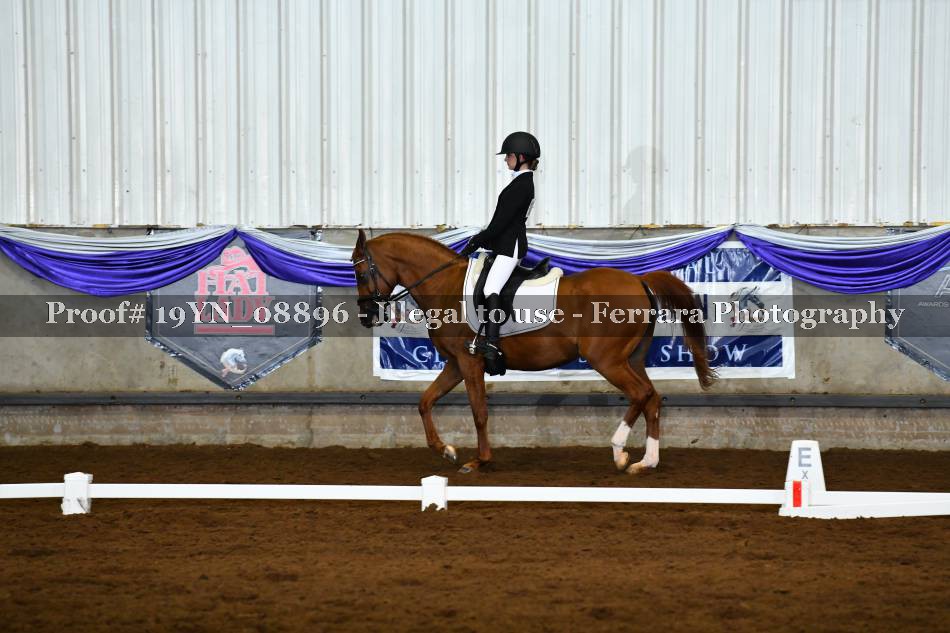 Proof 19YN_08896