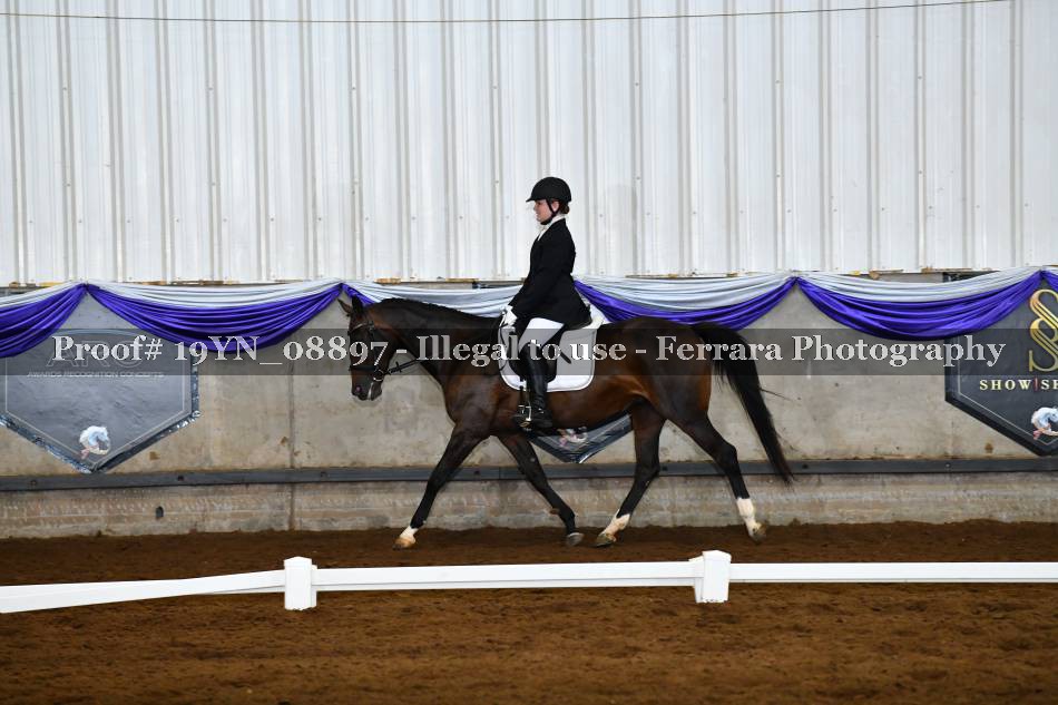Proof 19YN_08897