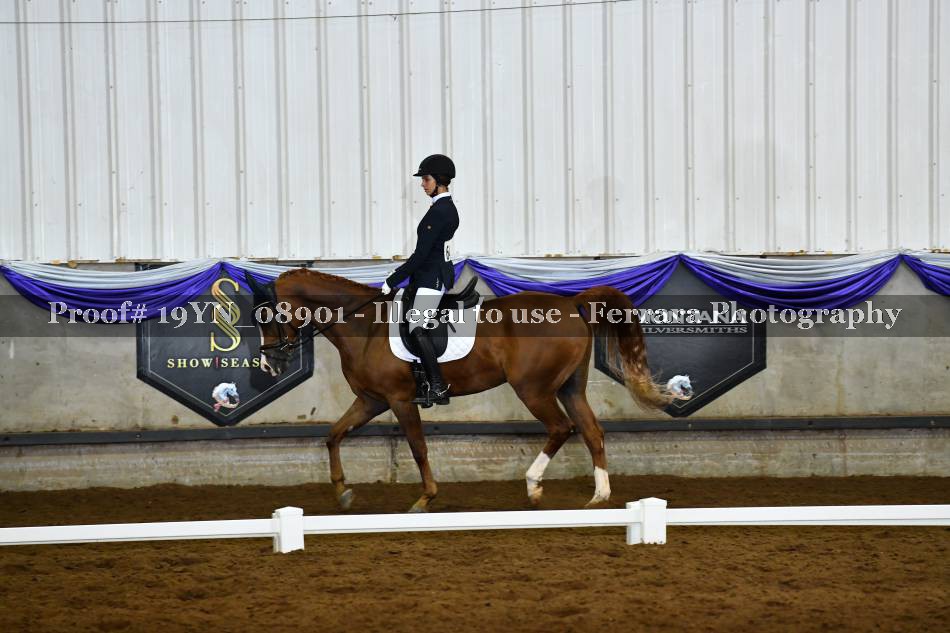 Proof 19YN_08901