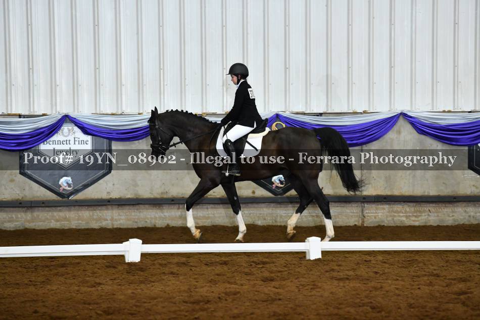 Proof 19YN_08902