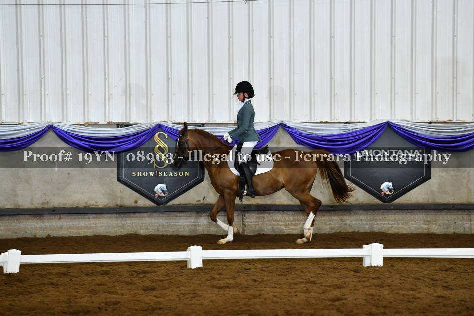 Proof 19YN_08903