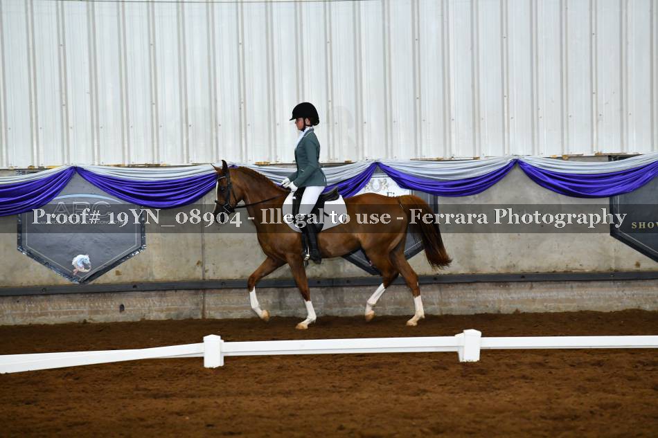 Proof 19YN_08904