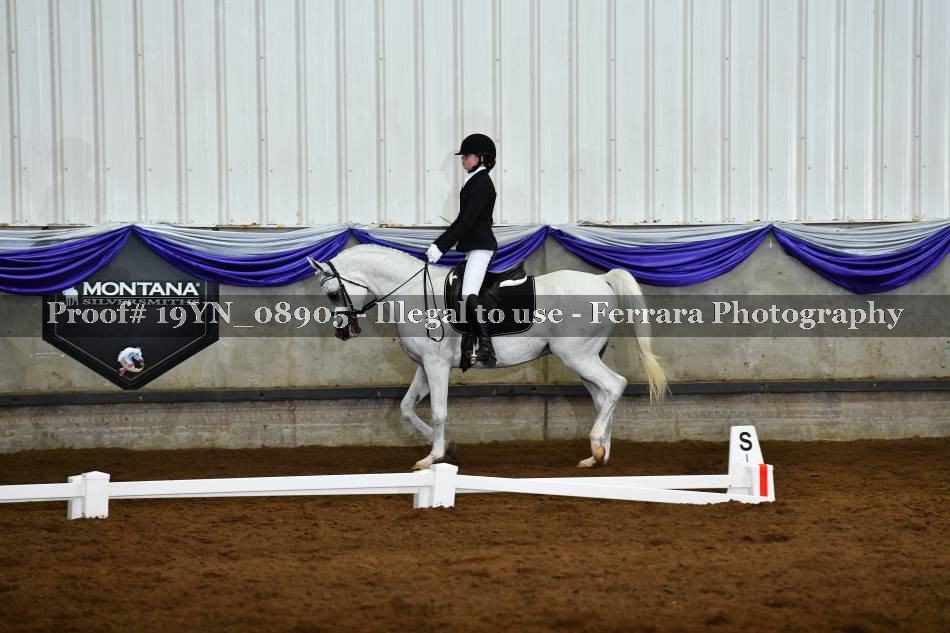 Proof 19YN_08905