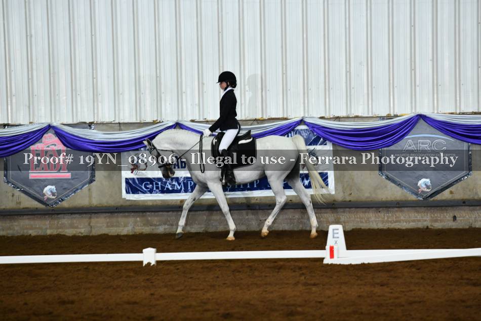 Proof 19YN_08906