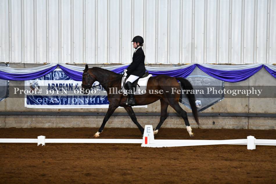 Proof 19YN_08907
