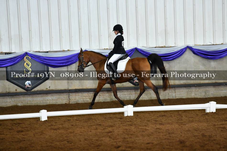 Proof 19YN_08908