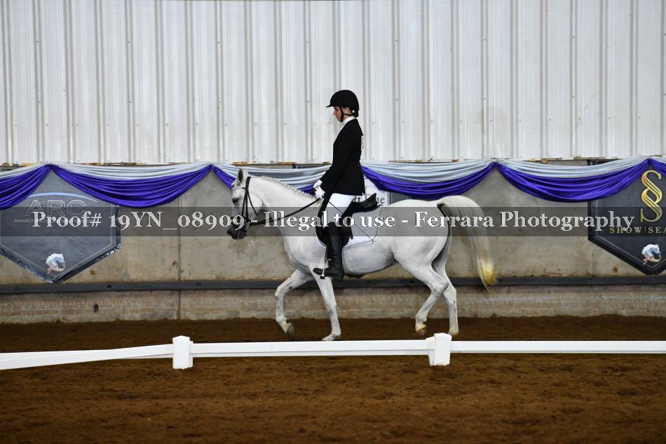 Proof 19YN_08909