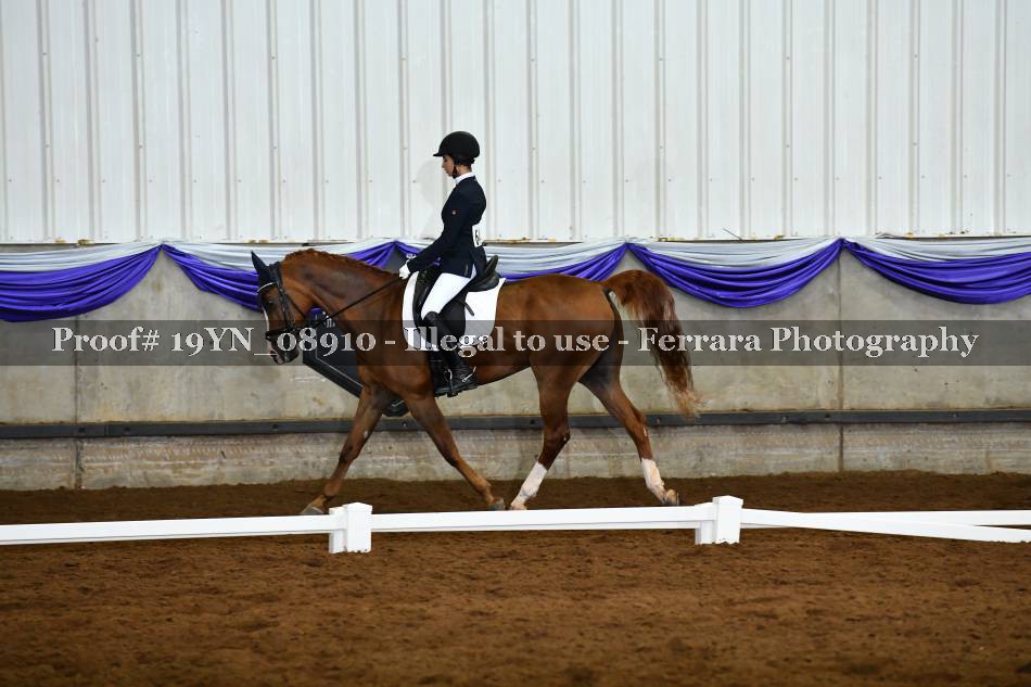 Proof 19YN_08910