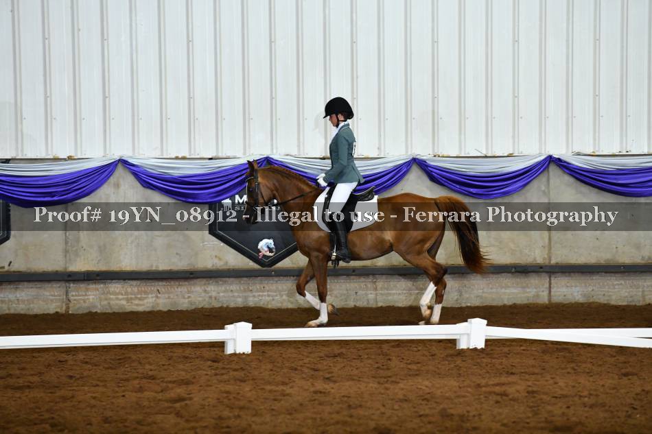 Proof 19YN_08912