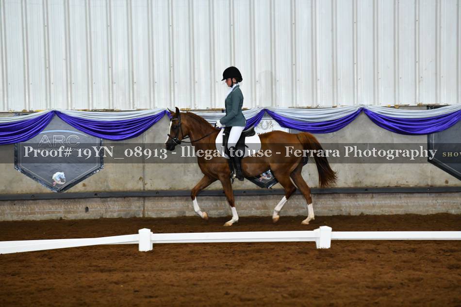 Proof 19YN_08913
