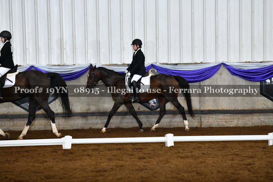 Proof 19YN_08915