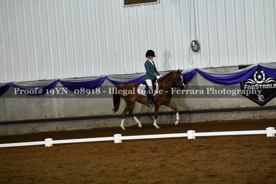 Proof 19YN_08918