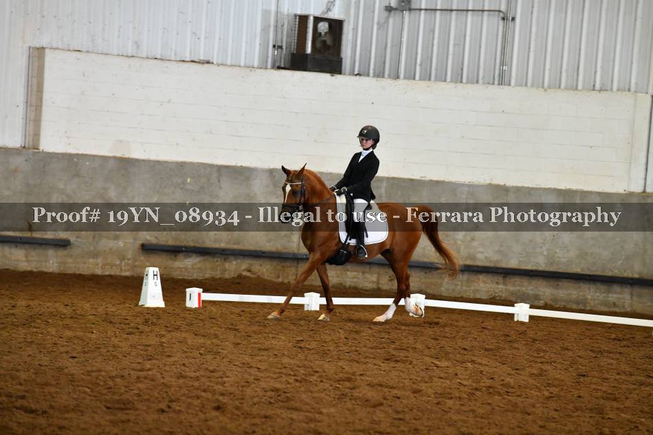 Proof 19YN_08934