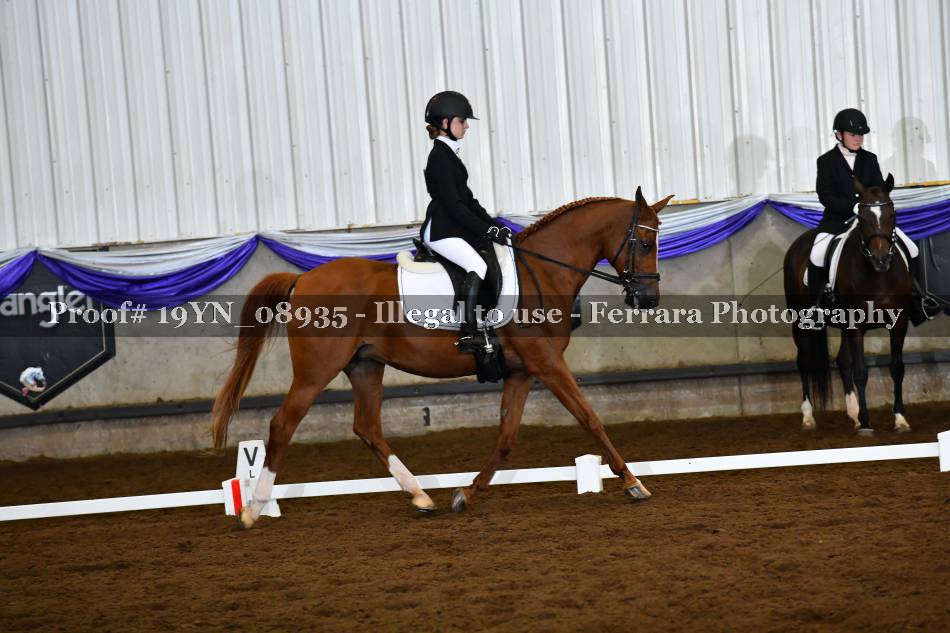 Proof 19YN_08935