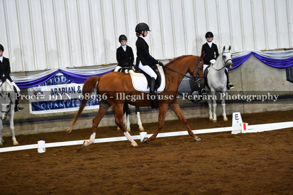 Proof 19YN_08936