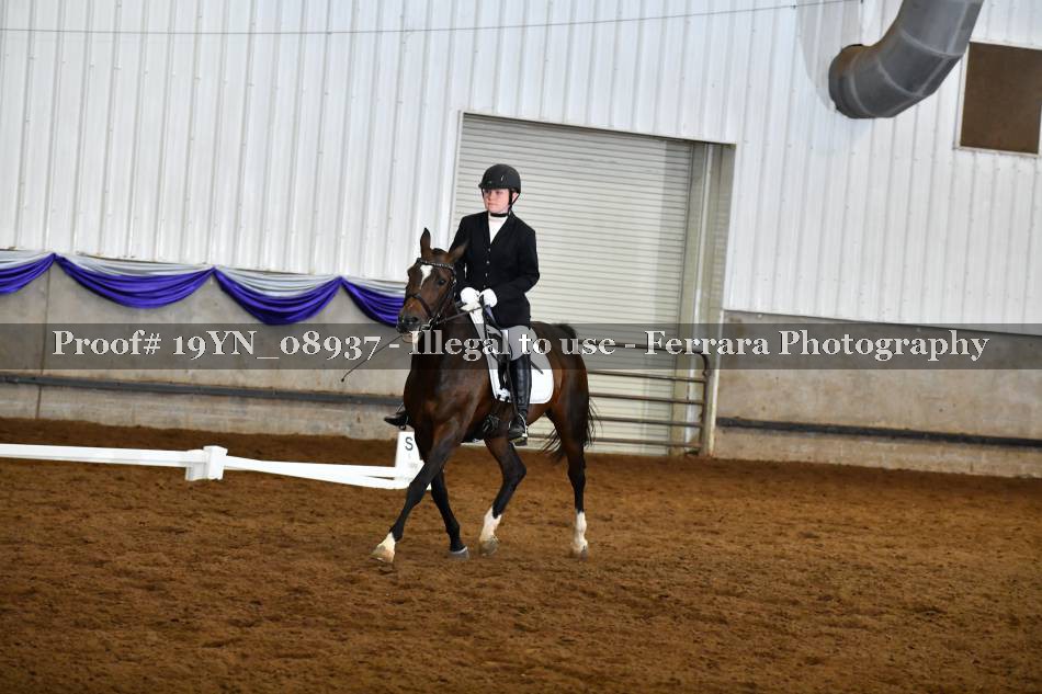 Proof 19YN_08937