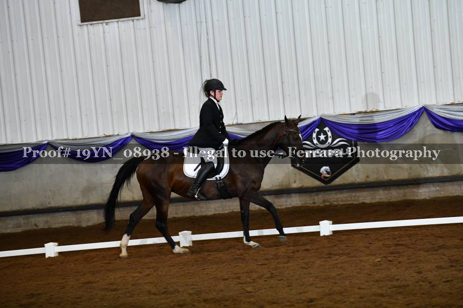 Proof 19YN_08938