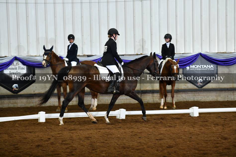Proof 19YN_08939