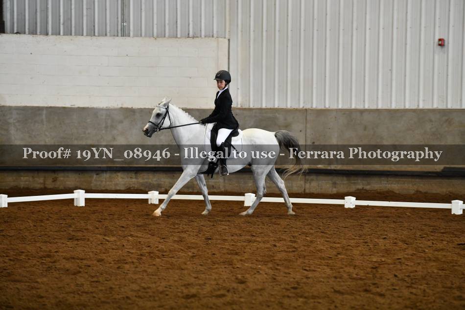 Proof 19YN_08946