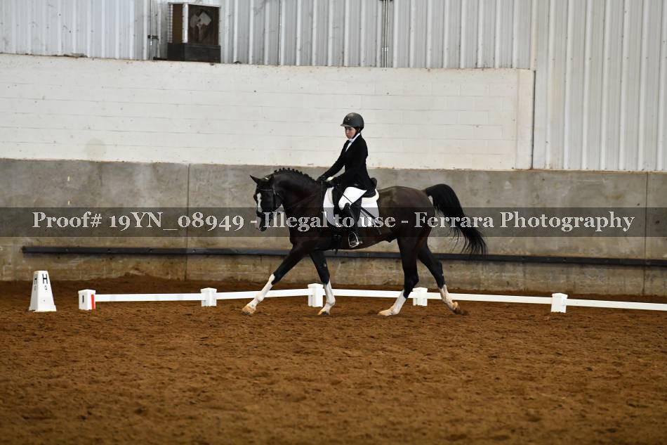 Proof 19YN_08949
