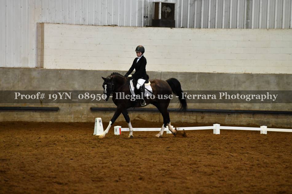 Proof 19YN_08950