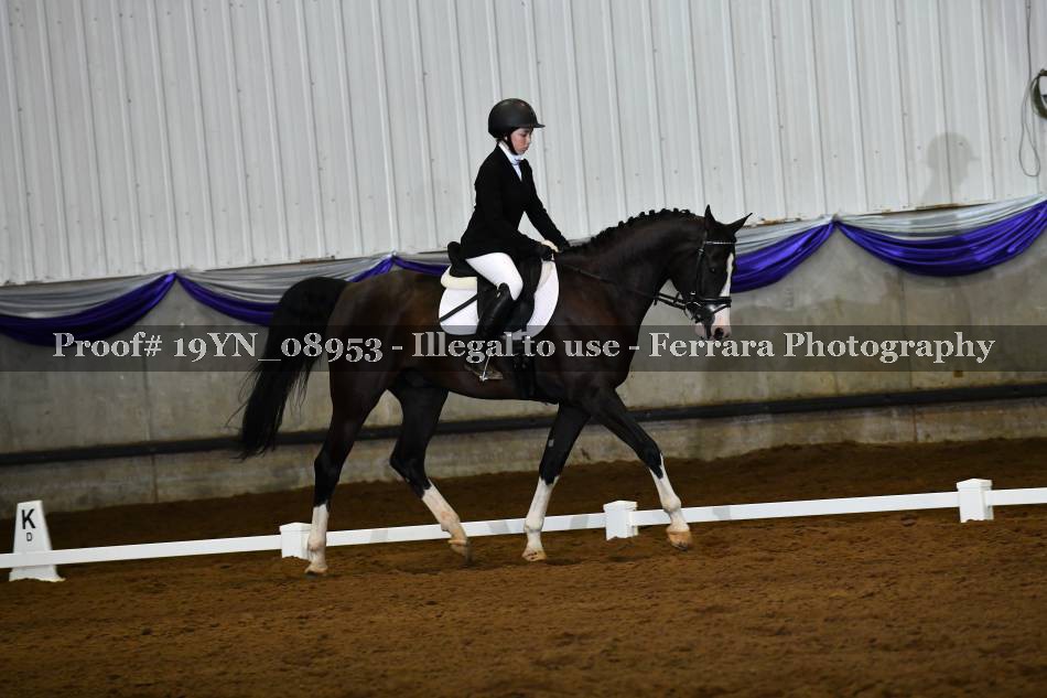 Proof 19YN_08953