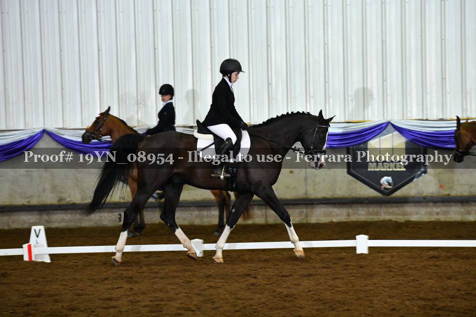 Proof 19YN_08954