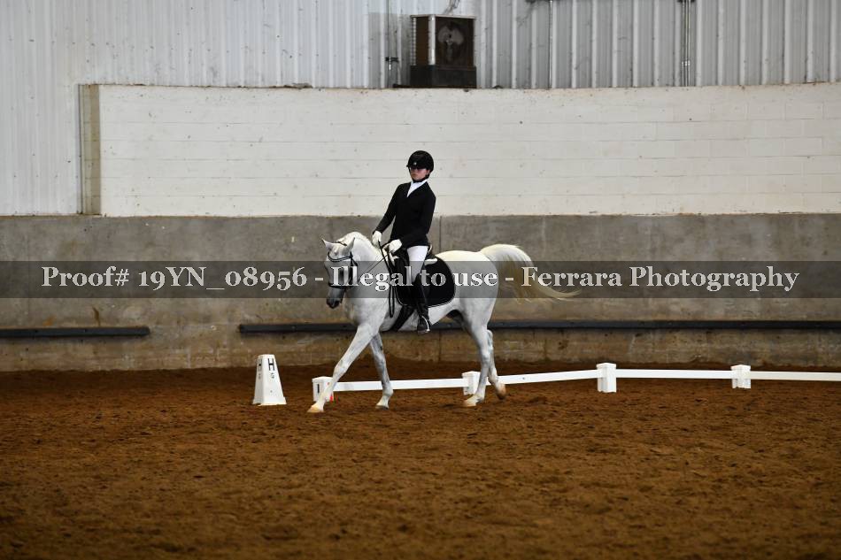 Proof 19YN_08956