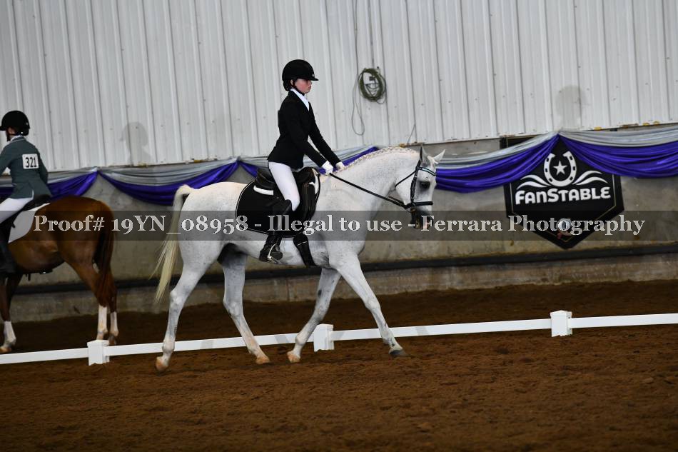 Proof 19YN_08958