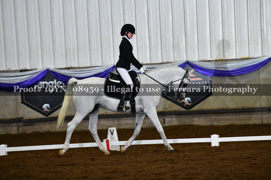 Proof 19YN_08959