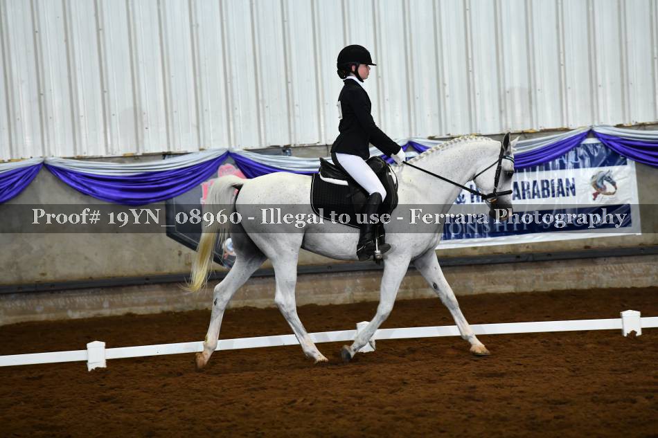 Proof 19YN_08960