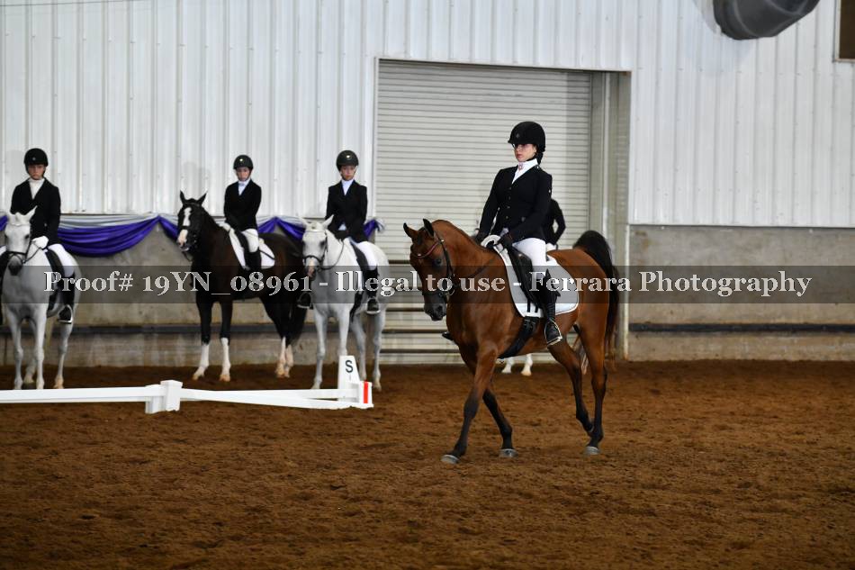 Proof 19YN_08961